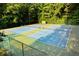 Well-maintained community tennis courts surrounded by lush greenery and fencing at 4219 Peachway Dr, Durham, NC 27705