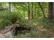 A serene backyard pond surrounded by rocks, greenery, and mature trees at 6700 Falconbridge Rd, Chapel Hill, NC 27517