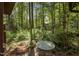Backyard features small table, surrounded by dense woods and leafy ground cover at 6700 Falconbridge Rd, Chapel Hill, NC 27517