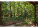 Picturesque backyard view framed by the trees, as seen from the deck at 6700 Falconbridge Rd, Chapel Hill, NC 27517