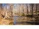 Peaceful creek view with clear water, rocks, and wooded surroundings at 800 Pritchard Avenue Ext # H7, Chapel Hill, NC 27516