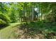 Backyard landscaping showcasing the home's exterior at 9508 Waterwood Ct, Raleigh, NC 27614