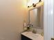 Cozy powder room with vanity, mirror, and decorative floral arrangement at 1005 Fairfax Woods Dr, Apex, NC 27502