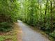 A peaceful walking trail through the woods, perfect for a relaxing stroll in nature at 105 Jolyn Pl, Chapel Hill, NC 27517