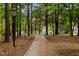 A brick pathway winds through lush landscaping and trees, offering a serene walking experience at 105 Jolyn Pl, Chapel Hill, NC 27517