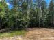 A sprawling green area with trees offers a serene backyard with a wooded view at 146 Seahawk Way, Zebulon, NC 27597