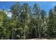 Lush foliage with tall trees offers natural beauty and privacy at 146 Seahawk Way, Zebulon, NC 27597
