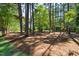 Private wooded lot, showcasing mature trees and natural beauty in a serene backyard setting at 1610 Ridge Rd, Raleigh, NC 27607