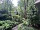 Secluded backyard with lush landscaping and mature trees for privacy at 2900 Sylvania Dr, Raleigh, NC 27607