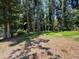 Expansive backyard featuring lush green grass, a perimeter of mature trees, and dappled sunlight at 3323 Baugh St, Raleigh, NC 27604