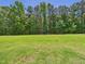 Lush, expansive backyard with mature trees, offering a private and serene outdoor space at 100 S Sunset Ridge Dr, Willow Springs, NC 27592