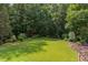 Well-maintained backyard with lush lawn and border of trees providing natural privacy at 1908 S Lakeshore Dr, Chapel Hill, NC 27514