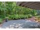 Serene backyard featuring lush greenery, mature trees, and a secluded gravel patio area at 1908 S Lakeshore Dr, Chapel Hill, NC 27514