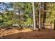 Backyard and trees near the pond at 2106 White Pond Ct, Apex, NC 27523