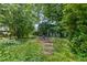 Overgrown backyard with a detached 3x3 step landing pad with foliage at 218 Villa St, Rocky Mount, NC 27804