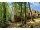 Back view showcasing outdoor decks and wooded scenery at 3622 Colchester St # 17, Durham, NC 27707