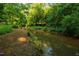 Tranquil creek view with lush green foliage along the banks at 8200 Bromley Rd, Hillsborough, NC 27278