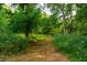 Landscape featuring forest trail through lush foliage and mature trees with dappled sunlight at 8200 Bromley Rd, Hillsborough, NC 27278