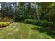 Expansive backyard featuring lush lawn, mature trees and landscaping at 1009 Margarets Ln, Raleigh, NC 27614