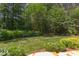 Lush backyard featuring meticulously maintained lawn and mature trees for privacy and shade at 1009 Margarets Ln, Raleigh, NC 27614