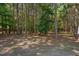 View of lot and surrounding landscaping showcasing mature trees and foliage on the property. Lot provides natural surroundings at 170 Lothian, Rocky Mount, NC 27804