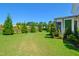 Expansive backyard featuring lush, green grass, manicured landscaping and mature evergreens at 241 Teague St, Wake Forest, NC 27587