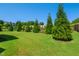 Well-maintained backyard with mature evergreens and lush green grass, perfect for outdoor activities at 241 Teague St, Wake Forest, NC 27587