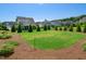 Landscaped backyard features manicured lawn with row of mature evergreen trees and manicured landscaping at 241 Teague St, Wake Forest, NC 27587