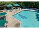 Riggsbee Farm community pool with ample seating, umbrellas, and a refreshing atmosphere at 318 Riggsbee Farm Dr, Cary, NC 27519