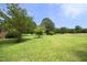 Expansive backyard featuring mature trees and a well-maintained lawn at 4345 Mcintyre Rd, Gibsonville, NC 27249
