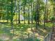 Spacious fenced backyard with mature trees offering shade and privacy at 545 Olivia Way, Selma, NC 27576