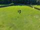 Horse pasture surrounded by wooden fence and mature trees with green grass and two horses at 545 Olivia Way, Selma, NC 27576