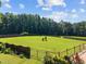 Beautiful pasture with green grass and two horses surrounded by a fence at 545 Olivia Way, Selma, NC 27576