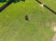 Aerial view of the pasture featuring horses grazing within the fenced area at 545 Olivia Way, Selma, NC 27576