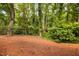 Beautiful, wooded backyard with lush greenery and mature trees, offering serene privacy at 208 Rockport Ridge Way, Cary, NC 27519