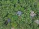 Aerial view of home among lush trees in a private community at 2095 Woodberry Dr, Clayton, NC 27527