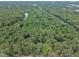 Lush, green aerial view showcasing expansive tree coverage and the surrounding neighborhood at 2095 Woodberry Dr, Clayton, NC 27527