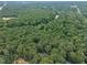 Lush green treetops as seen in this aerial view showcase the natural beauty surrounding the area at 2095 Woodberry Dr, Clayton, NC 27527