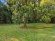 There is a large shade tree in the backyard and it is well manicured at 227 W Drewry Ln, Raleigh, NC 27609