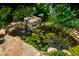 Beautiful backyard pond with water lilies and stone accents, surrounded by lush greenery at 2707 Anderson Drive Dr, Raleigh, NC 27608