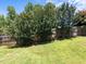 Green backyard with lush trees and a wooden fence provides privacy and space for outdoor enjoyment at 300 Stobhill Ln, Holly Springs, NC 27540