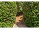 Stone steps framed by mature hedges and lush greenery creating a private outdoor pathway at 315 Birdwood Ct, Cary, NC 27519
