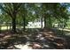 Long, shaded driveway approach to this estate home, fully fenced at 4822 Nc Highway 98 W, Youngsville, NC 27596