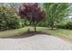 A backyard patio is surrounded by lush greenery, featuring a brick paver design and mature trees at 501 Ivyshaw Rd, Cary, NC 27519