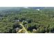 Aerial shot showcasing a home with a pool surrounded by dense trees and a distant view of the water at 1028 Harpers Ridge Ct, Wake Forest, NC 27587
