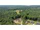 A top-down perspective revealing the lush green neighborhood and serene location of the house at 1529 Lake Adventure Ct, Raleigh, NC 27613