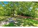 Spacious backyard featuring mature shade trees and lush greenery at 209 E Church St, Creedmoor, NC 27522