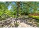 Lush backyard featuring mature trees providing ample shade and a rustic bench at 209 E Church St, Creedmoor, NC 27522