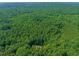 An aerial view of a large forest with a home and a pool nestled within mature green trees at 3707 Stonegate Dr, Chapel Hill, NC 27516