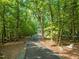 Long driveway winding through a lush, green forest leading to a hidden home with mature trees at 3707 Stonegate Dr, Chapel Hill, NC 27516